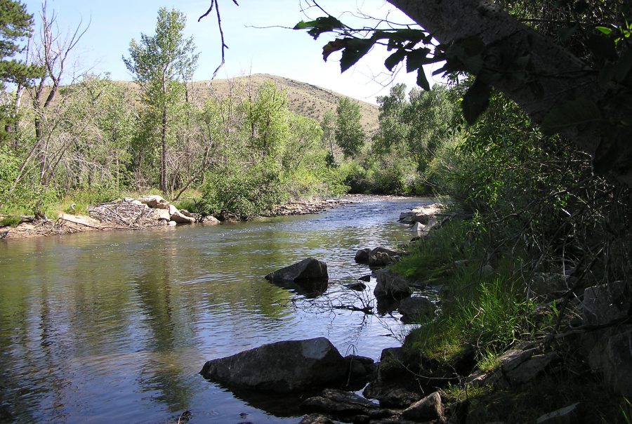 West Laramie Fly Store